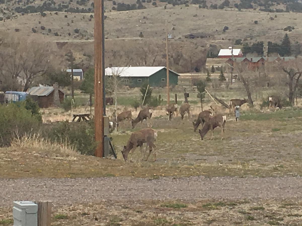 South Fork Lodge & Rv Park Colorado Esterno foto